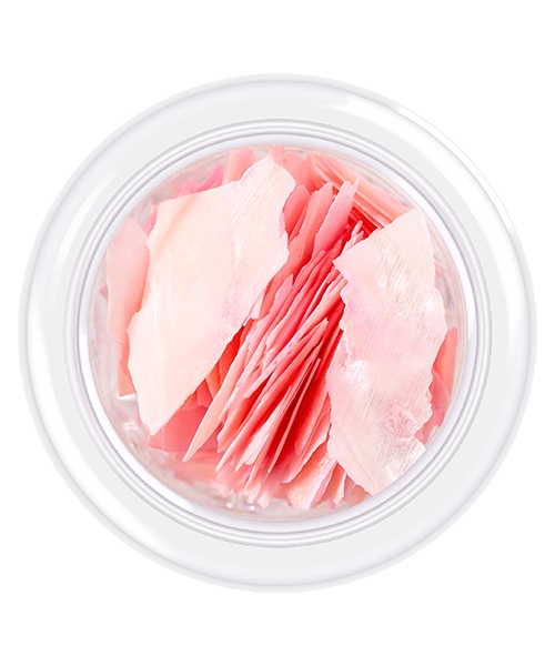 Shell for nails Shells style 01 3 g